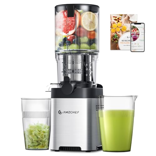 AMZCHEF Slow Juicer Entsafter