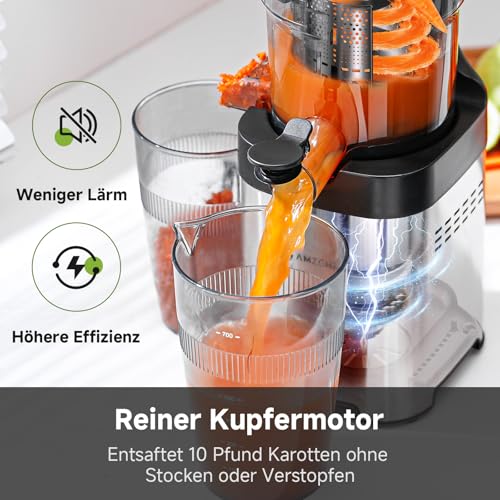 AMZCHEF Slow Juicer Entsafter