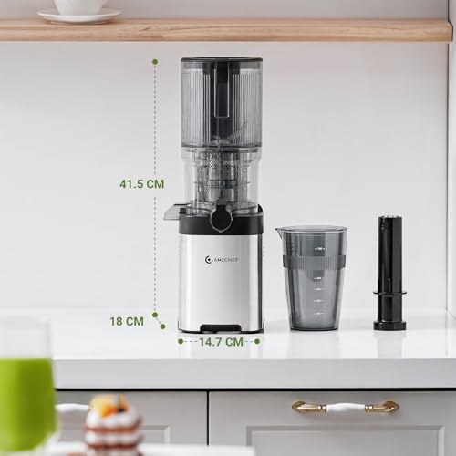 AMZCHEF Slow Juicer Entsafter