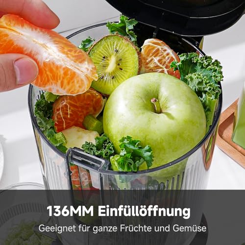 AMZCHEF Slow Juicer Entsafter